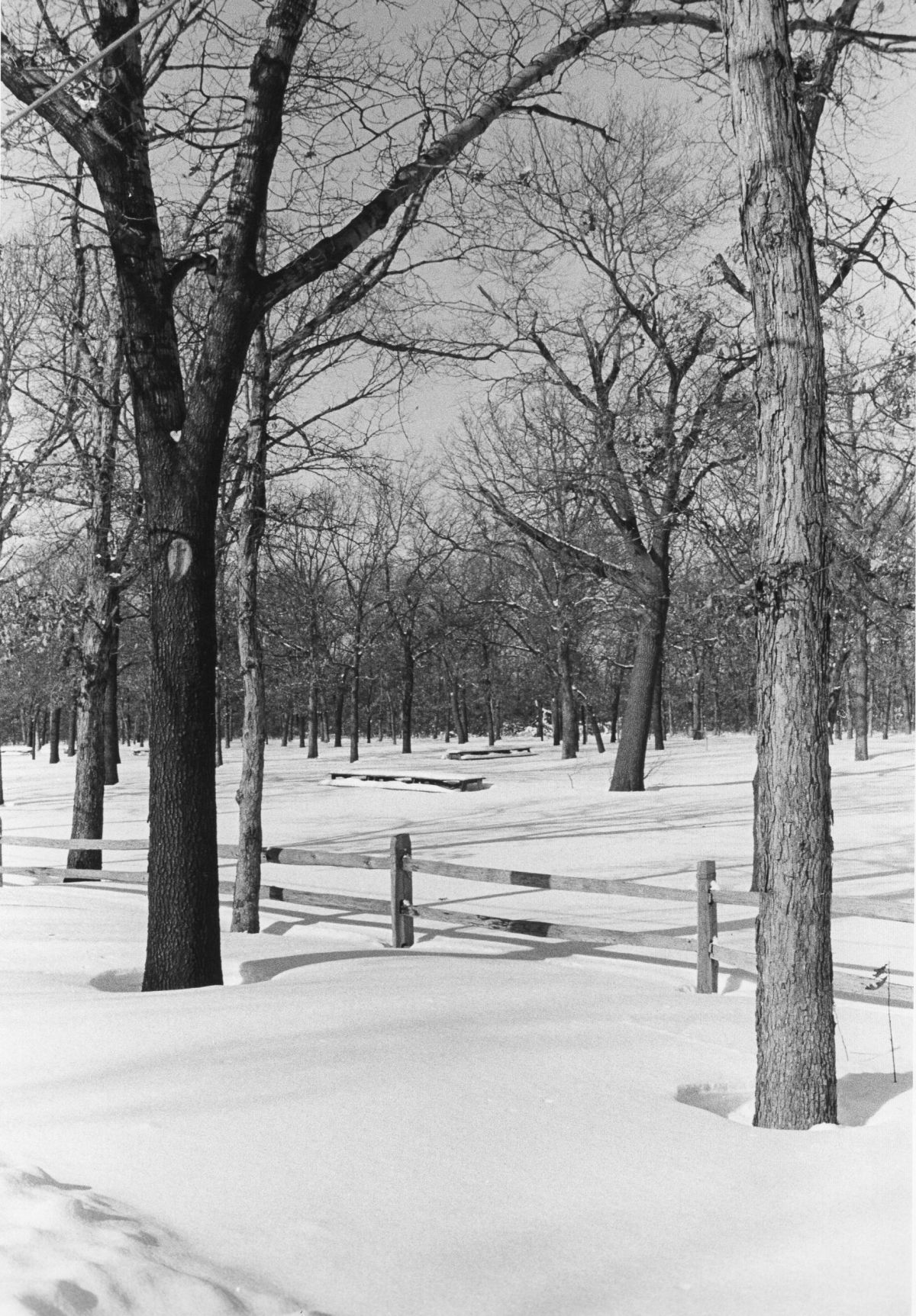 1967 blizzard